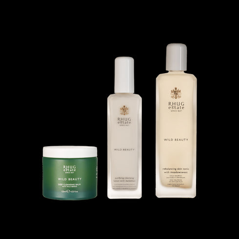 Cleansing Bundle